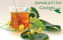 cassiope-ayurveda-montreal-quebec-canada (1)