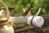 cassiope-ayurvedic-institute-treatment-small-montreal-quebec-canada